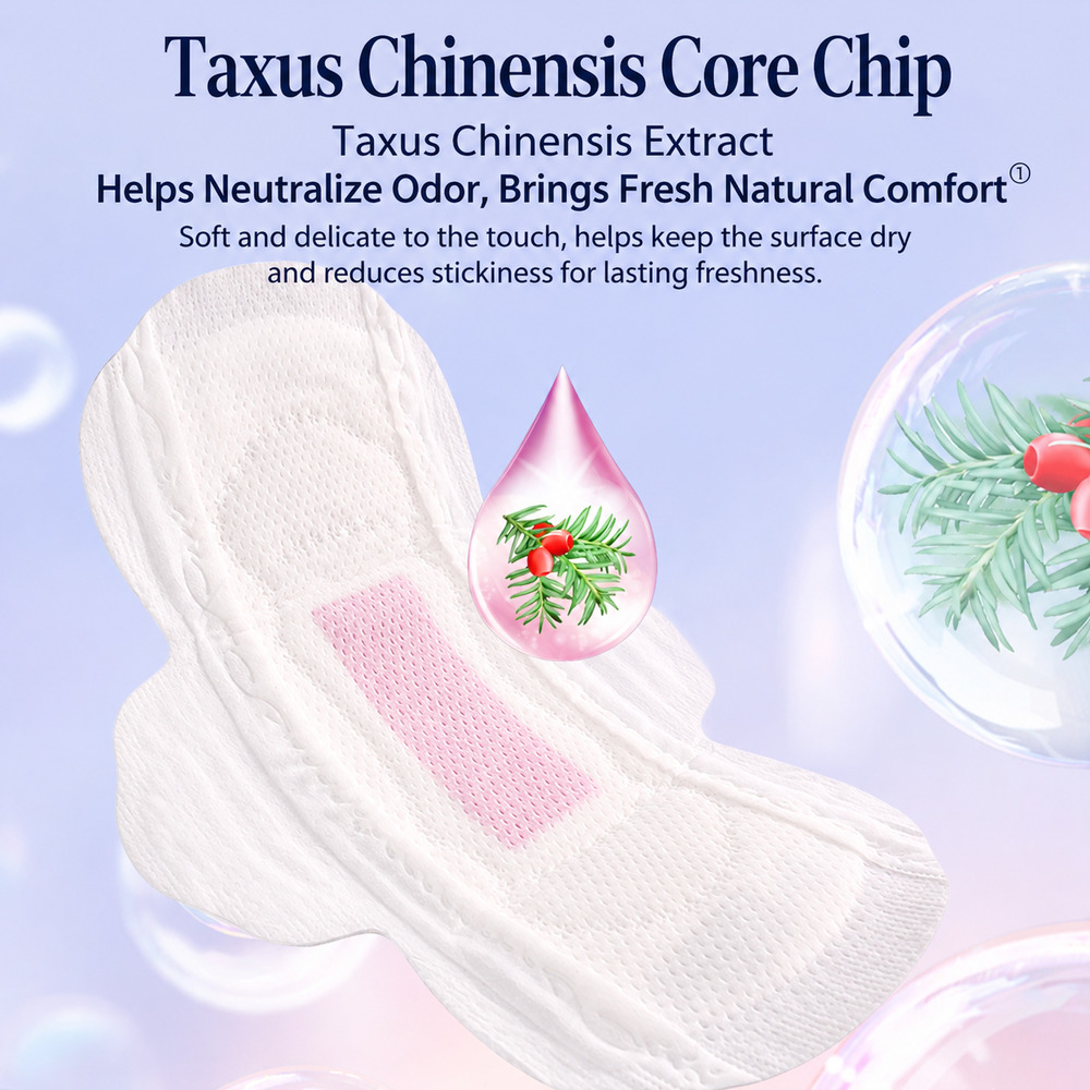 Taxus Chinensis Sanitary Pads