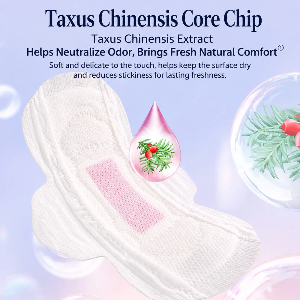 فوط Taxus Chinensis الصحية