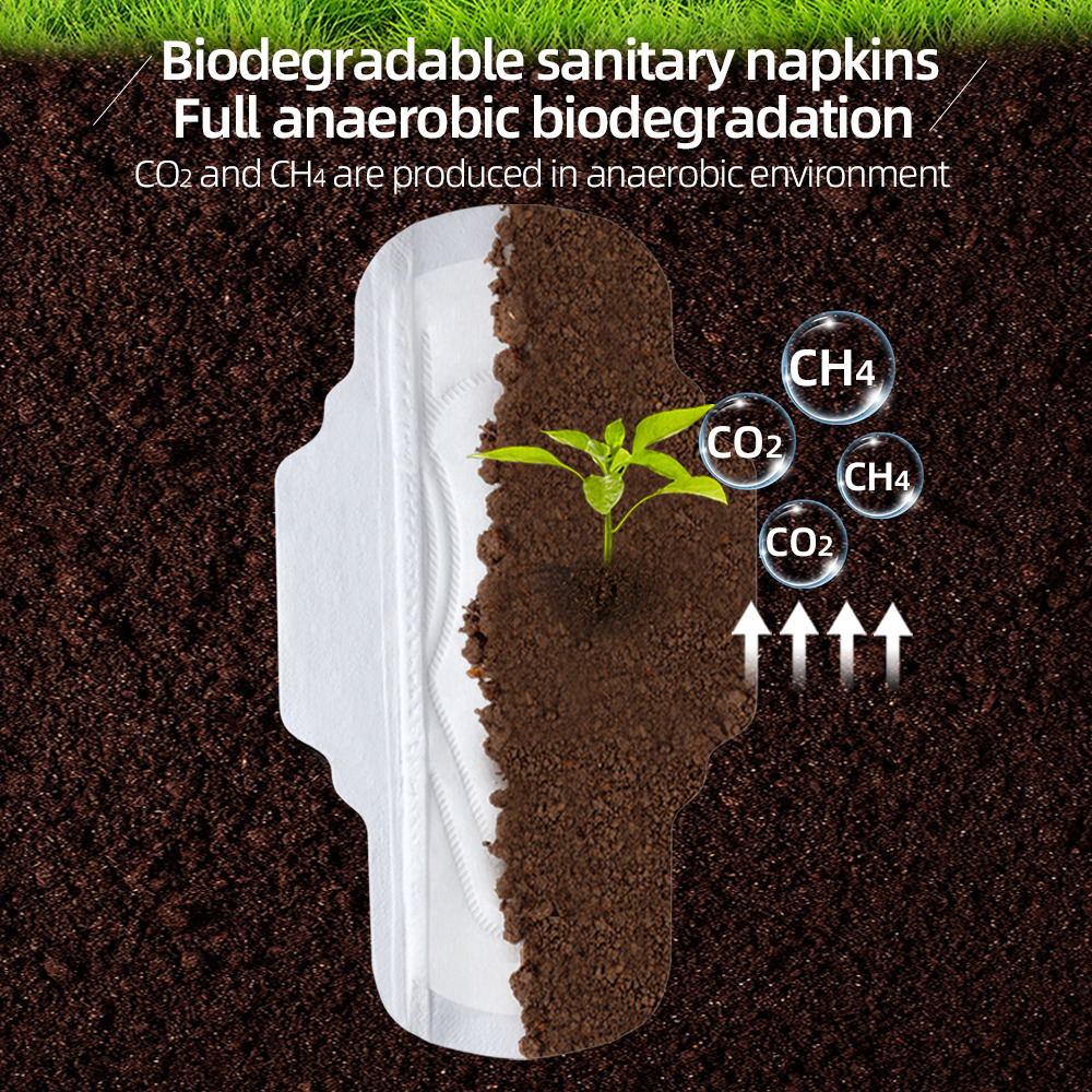Biodegradable Sanitary Pads-2