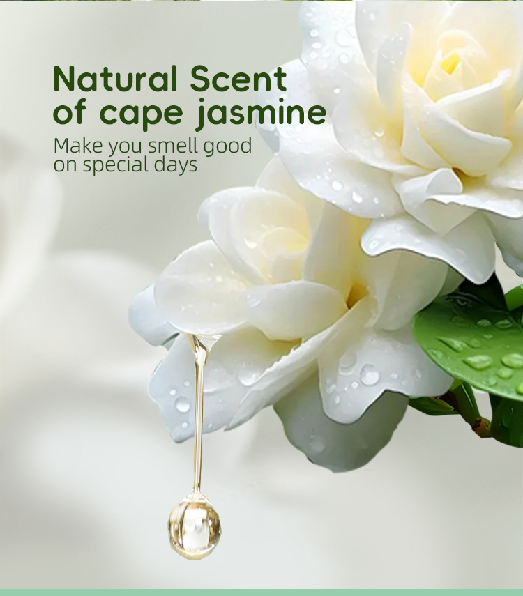 Cape Jasmine Sanitary Pads
