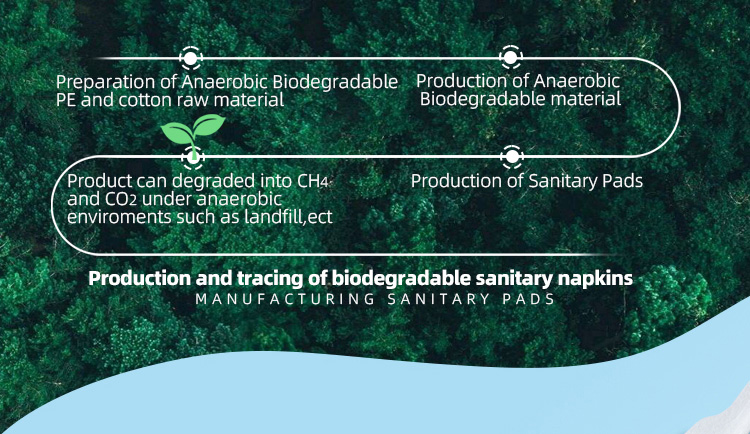 Biodegradable Sanitary Pads-1
