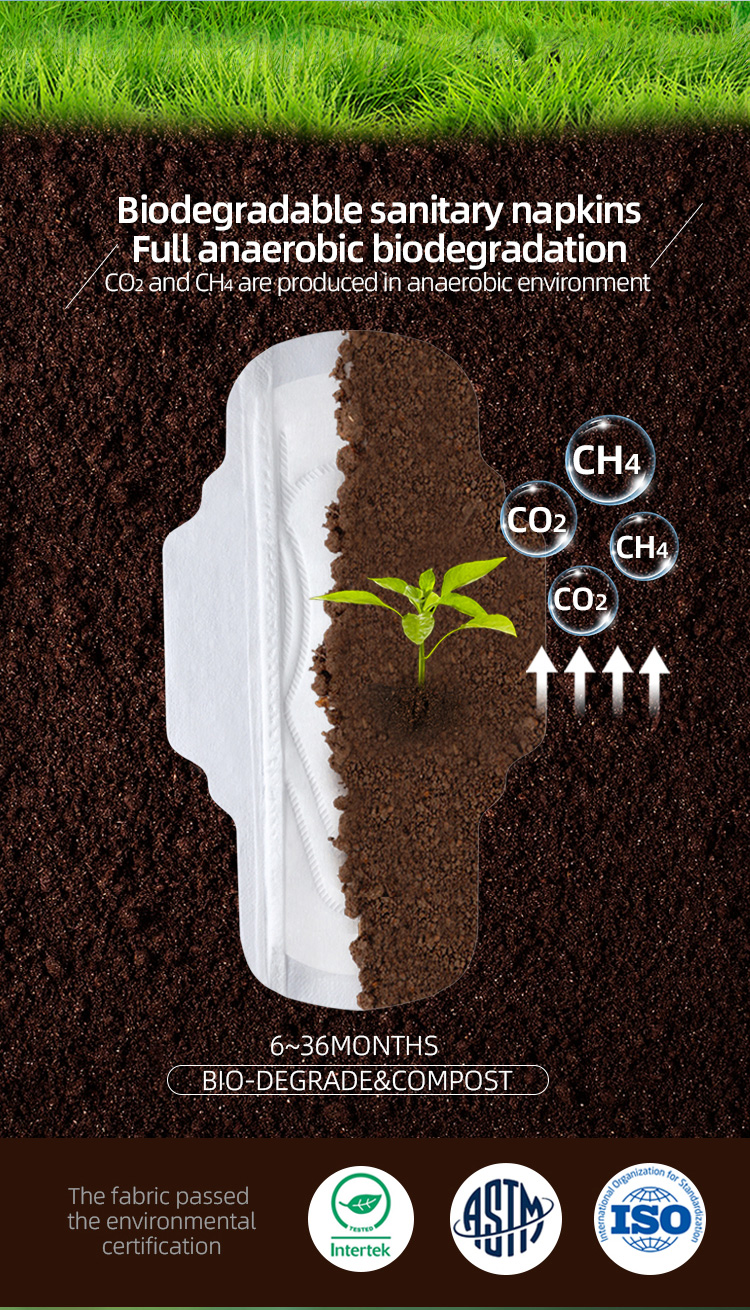 Biodegradable Sanitary Pads-1