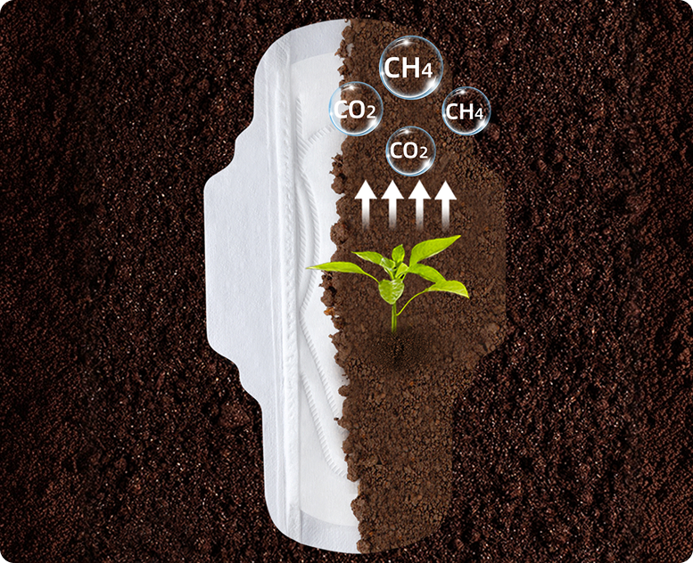  Biodegradable Sanitary Pads